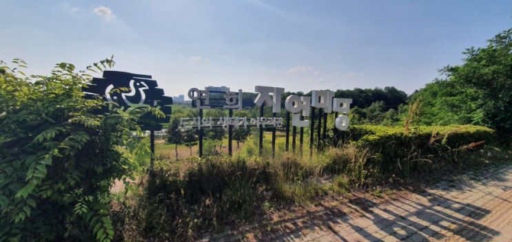  인천 주말 나들이 가볼만한 곳 : 연희자연마당