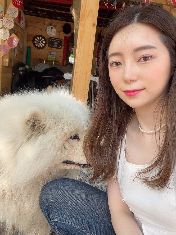  [블챌] 주간일기 6月__2주차 가보자고~ 놀고 먹고 공부하고 !