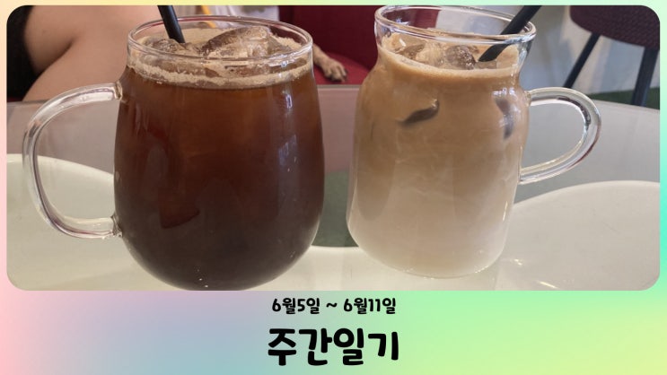  블챌 주간일기 챌린지 6월5일~6월11일 일상 기록