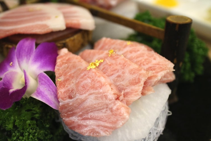 부천참치 참다랑어 전문 이안참치 일품 코스 고급 부위는 마블링이 달라
