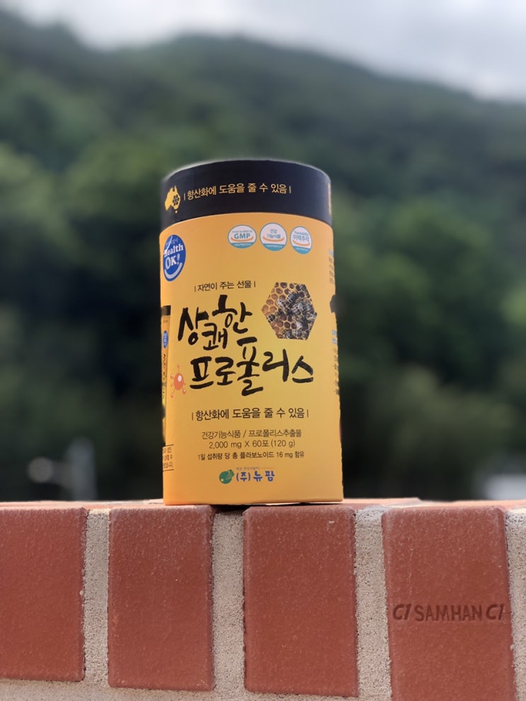  면역력에 증진에 좋은 프로폴리스 추천!