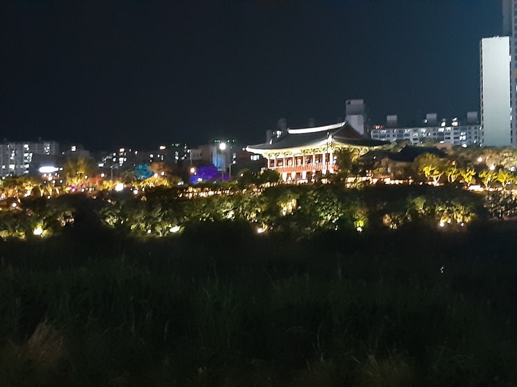 울산 국가 정원 태화강 자전거 라이딩