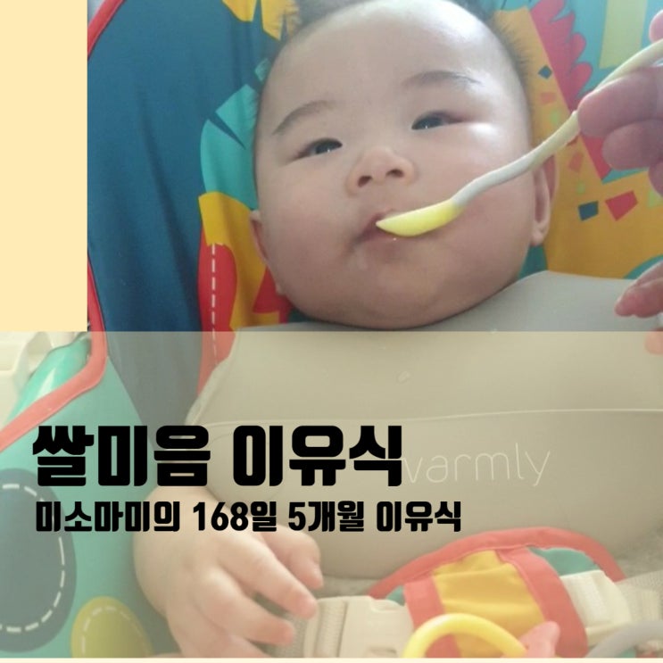  [쌀 미음 냄비 이유식] 5개월 이유식