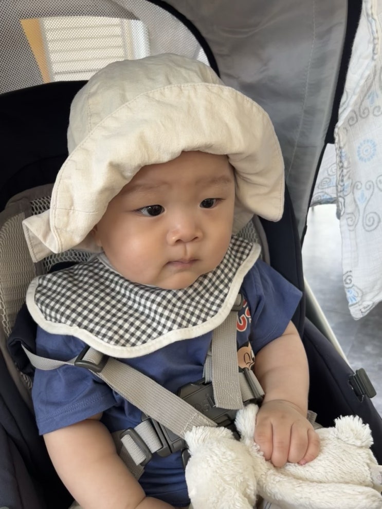  누리달 기록, 9개월 아기랑 어린이대공원 동물원/주방노동/돌준맘