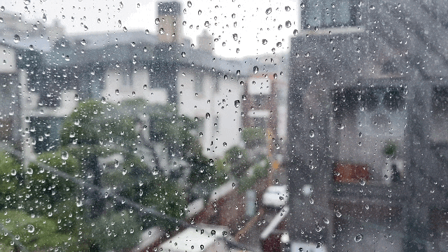  블챌 주간일기, 나의 첫 일주일