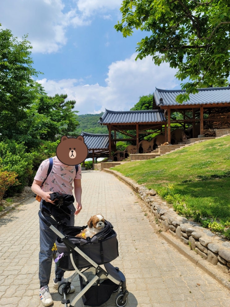  이천 애견동반카페 코유, 실내 강아지 동반 브런치카페