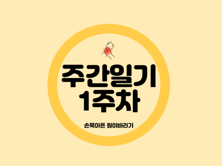  주간일기 1주차 손목 아픈 한주