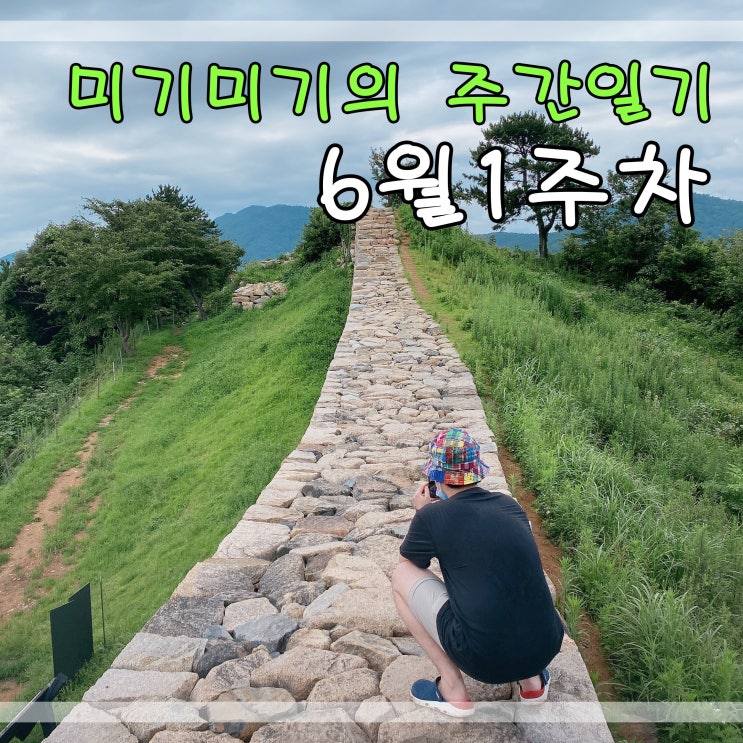  6월1주차 주간일기 감사의일기 맛집탐방 월부강의