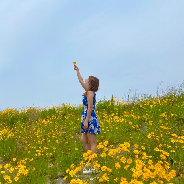  영종도 하늘정원 유채꽃과 금계국 후기, 영종도 드라이브 추천