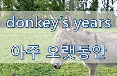 '시간' 관련 재미있는 영어 표현 1
