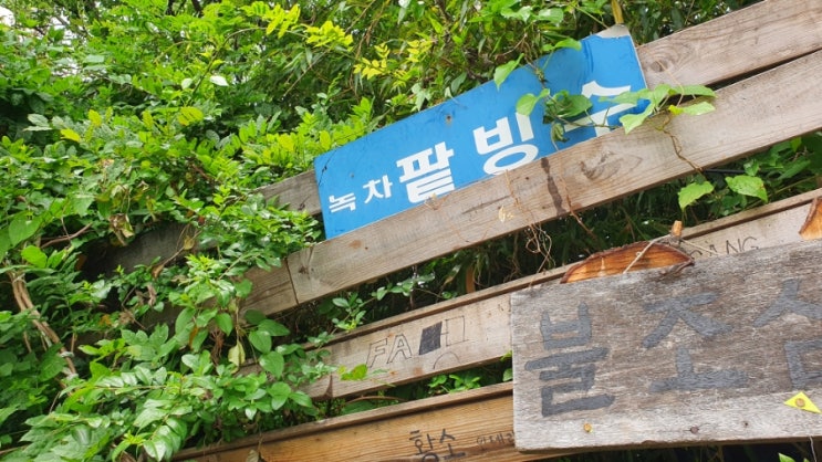  주간일기 도전