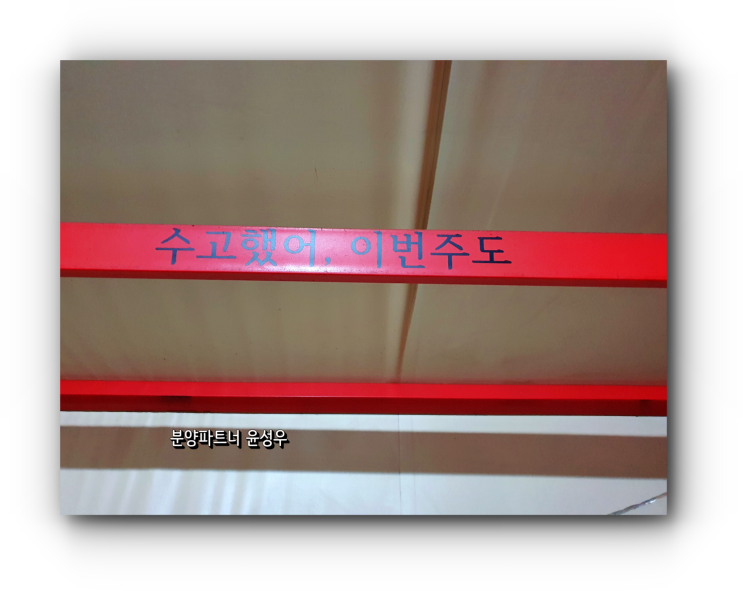 6월 1주차 일상 1