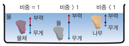  목공의 출발. 목재의 밀도와 비중