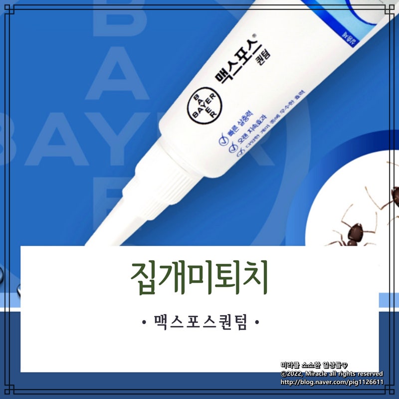 집개미퇴치 :: 맥스포스 퀀텀 개미약으로 간편하게 관리 중이예요