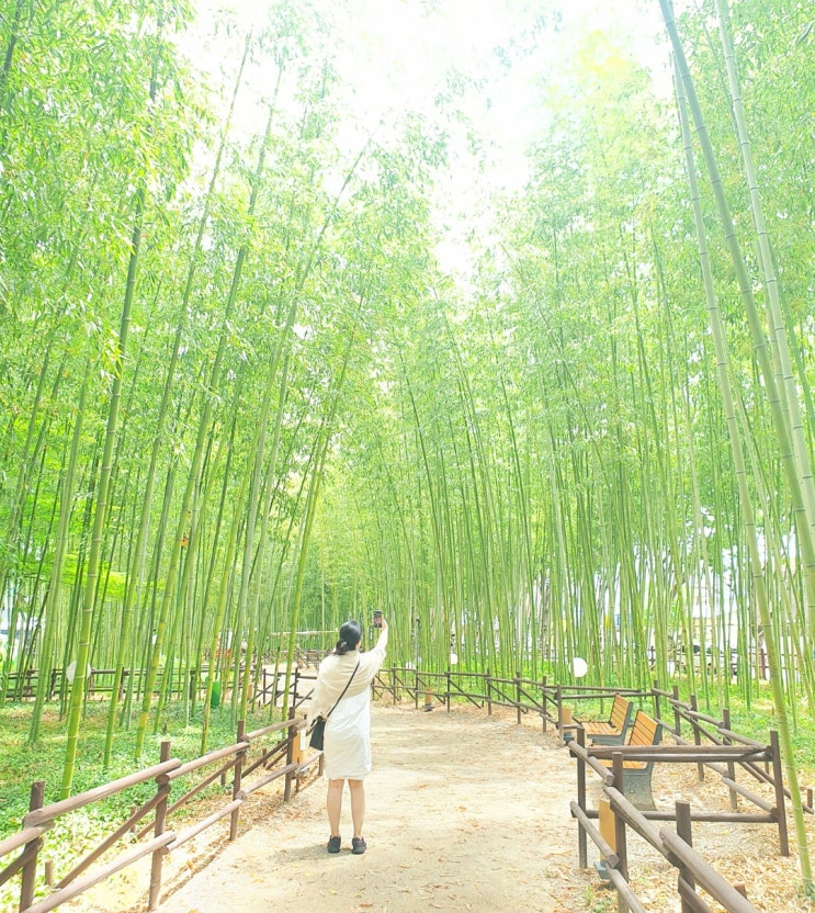  6월 둘째주 주간일기 챌린지_한 것은 없는데 바쁘다.