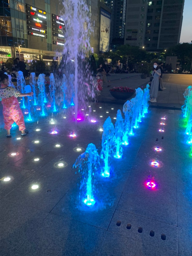  6월6일-6월12일 달삐츠 주간일기
