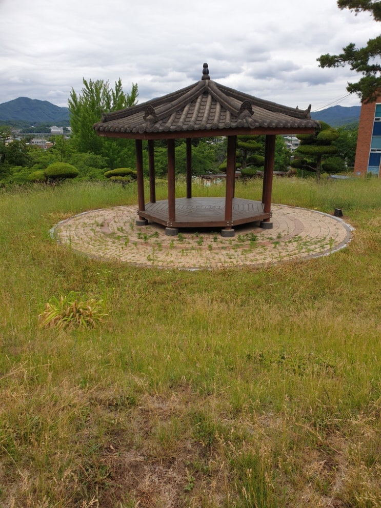  2022년 경북 김천시 김천고등학교 교내 잔디깍기 잡초제거 #잔디 #잔디깍기 #잔디관리 #잔디장리 #김천잔디 #김천잡초 김천고인돌장의사