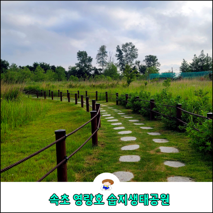 속초 영랑호 습지생태공원 초록의 산책길 속초 영랑호 습지생태공원 초록의 산책길