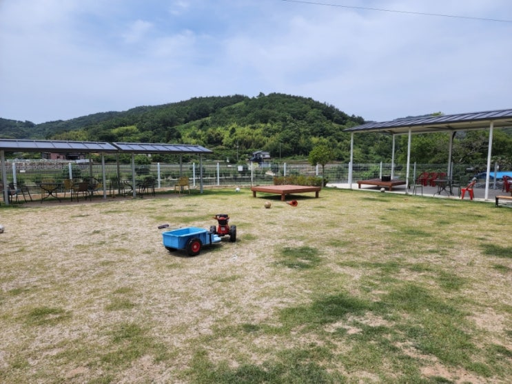  순천 곰발이네, 강아지 좋아하는 아이랑 애견카페 뿌수기 :)