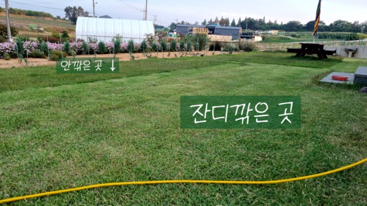  전원주택 마당 제초하기!! - 하야부사 전기잔디깎기 사용후기