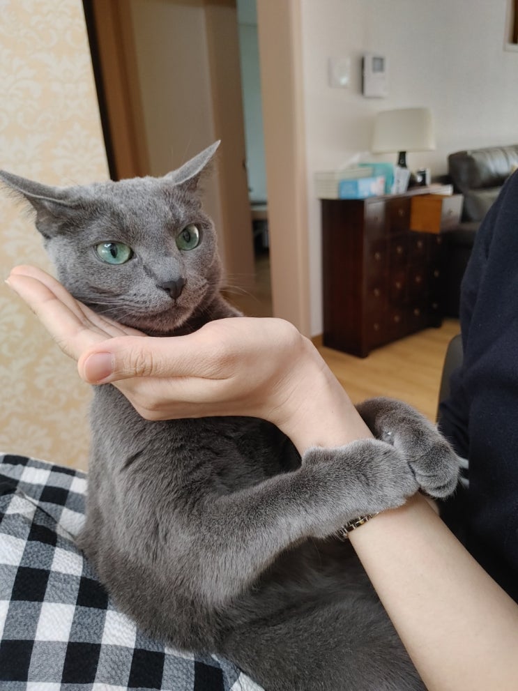  찐이웃소개챌린지, 너무 늦은 감이 있네요~