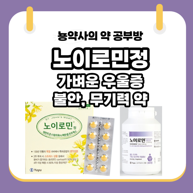  [뇽약사] 약국 우울증약, 노이로민정, 불안, 가벼운 우울, 무기력, 갱년기우울증 약, 작용기전부터 부작용까지