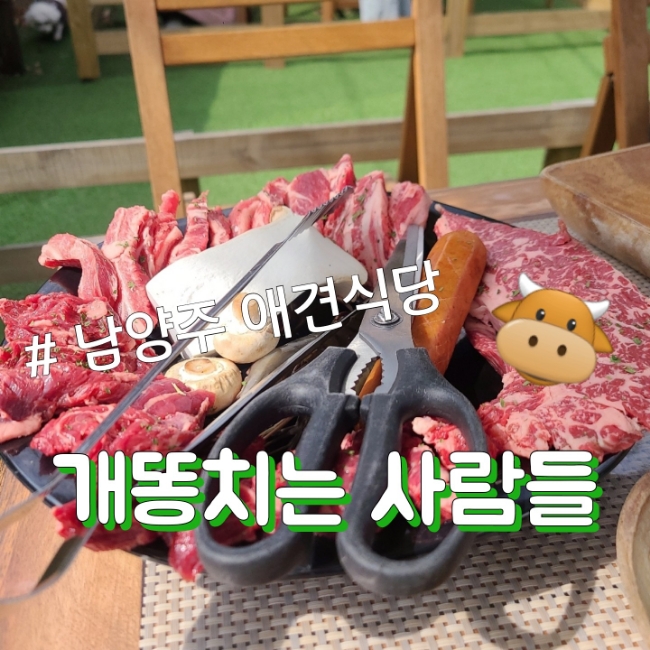  [남양주] 강아지와 함께하는 야외바베큐, 개똥치는 사람들