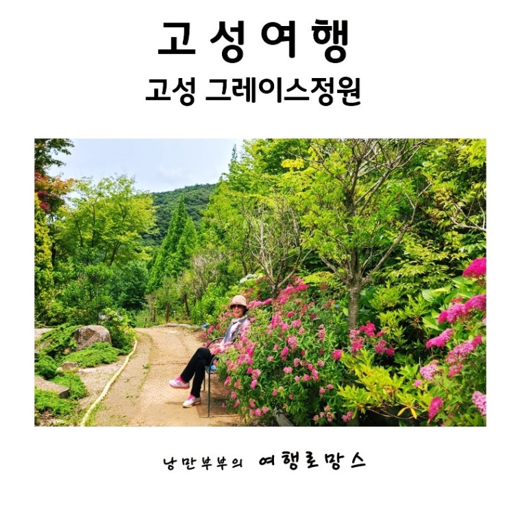  경남고성여행 추천은?수국이 아름다운  고성 그레이스정원