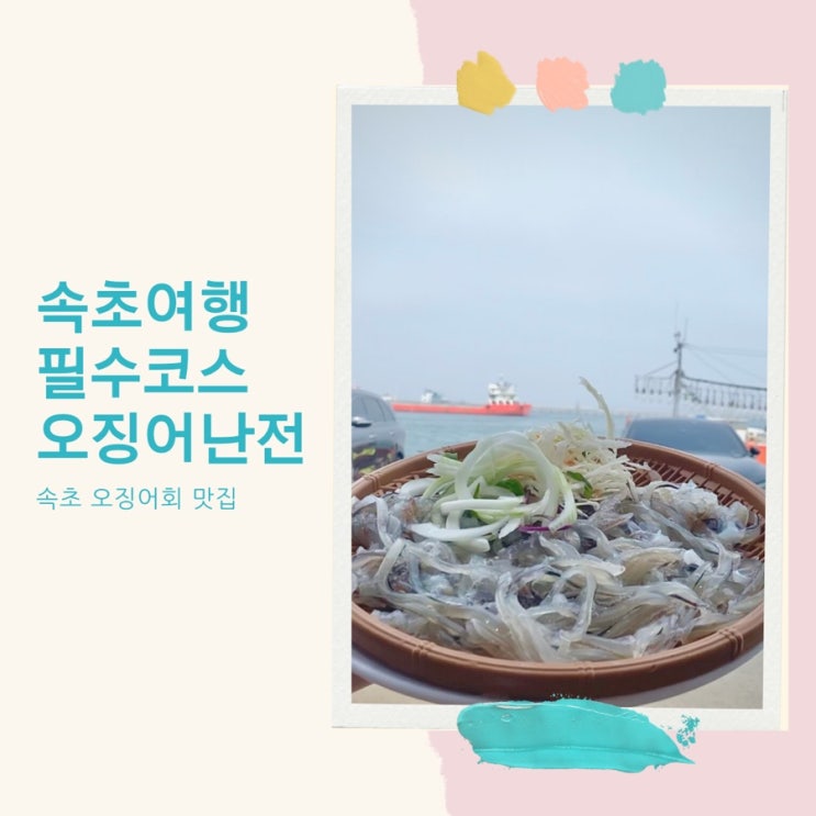  속초여행 필수코스 오징어난전 평일 주말 영업시간 금어기 속초 오징어회