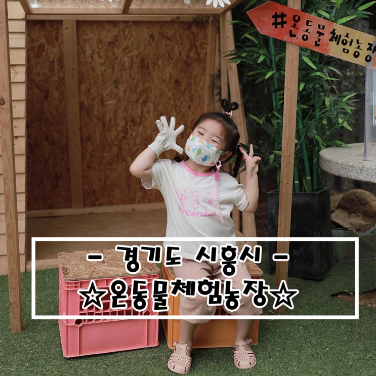  주말 나들이 추천_시흥 온동물체험농장
