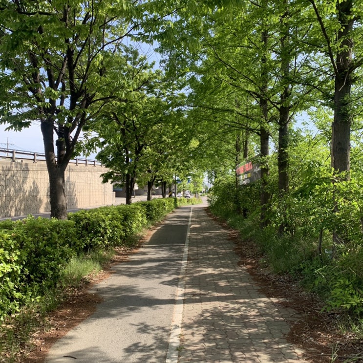  밀린 일상 끝