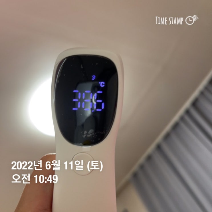  자가격리