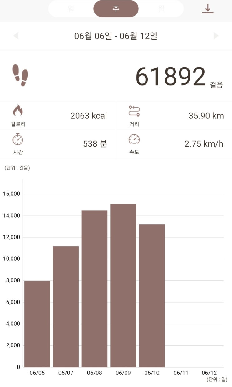  [주간일기] 일요일