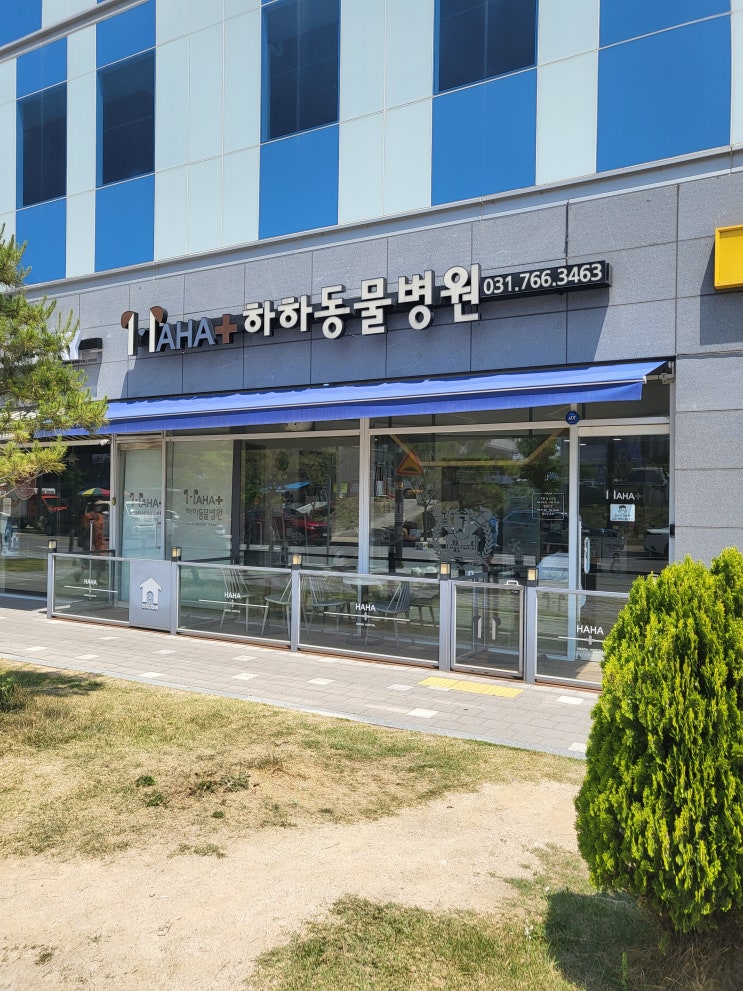  태전동 - 하하동물병원 반려견 코로나장염 기관지염 백신 예방접종 강아지 건강 관리 필수