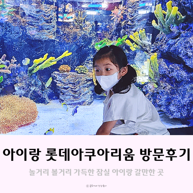 아이랑 롯데타워 아쿠아리움 다녀온 후기 아이랑 롯데타워 아쿠아리움 다녀온 후기