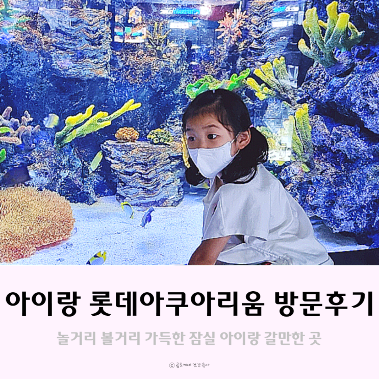 아이랑 롯데타워 아쿠아리움 다녀온 후기