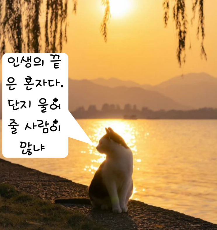  [좋은 글귀] 내 방에는 돌고래가 산다   중에서...