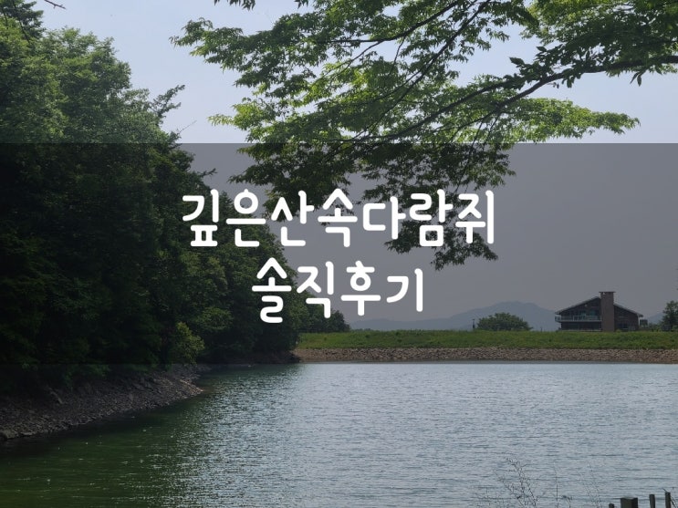 용인 도토리 요리 전문점 깊은산속다람쥐 솔직후기