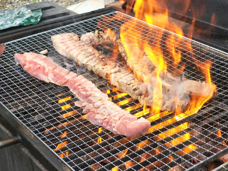  6월 금산캠핑 바베큐파티 후기