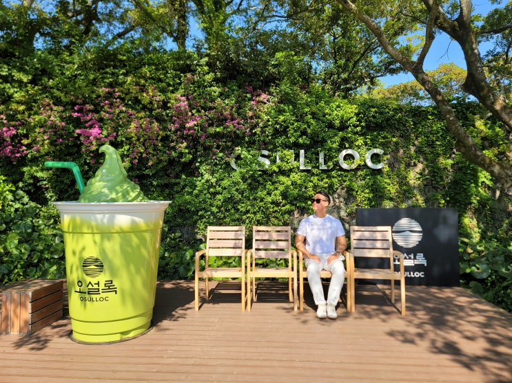  제주도 놀거리 추천!! 서귀포시 '오설록 티 뮤지엄 & 이니스프리 제주 하우스', 푸릇한 녹차 밭에서 인생 샷 건져 가세요~