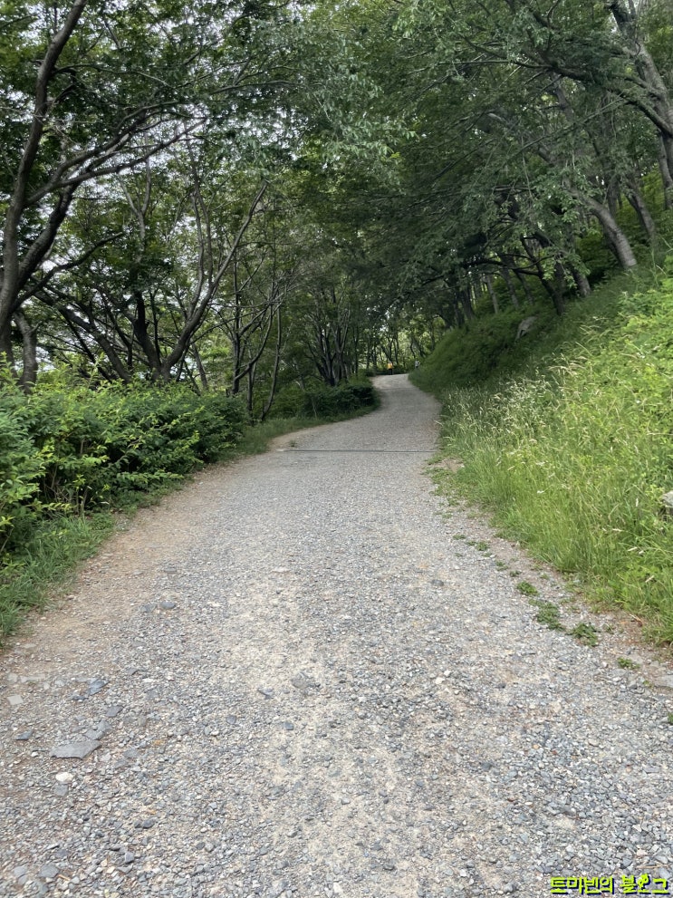  백양산 등산코스 / 선암사 - 애진봉 - 정상 - 삼광사