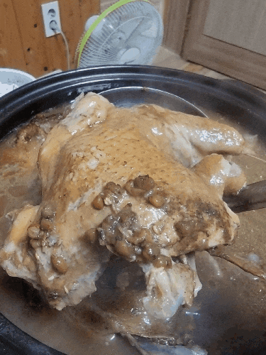  김해 진례맛집 "옹달샘가든" 백숙마을촌, 유기농 직접 재배한 신선한재료와 맛있는 백숙집 추천해요!