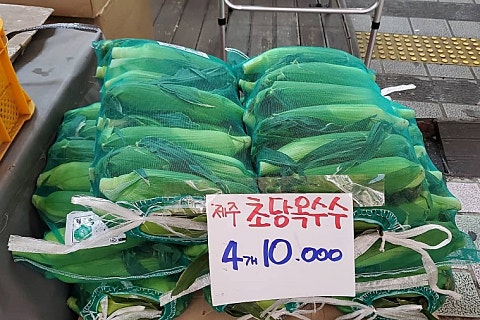 오늘청과2 이미지