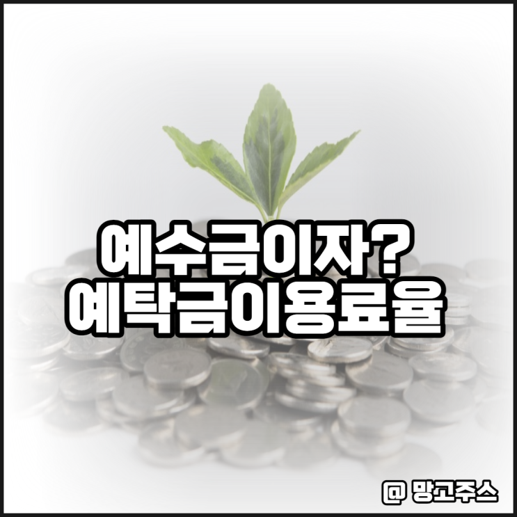 주식 예수금이자 비교해보기(feat. 예탁금이용료율)