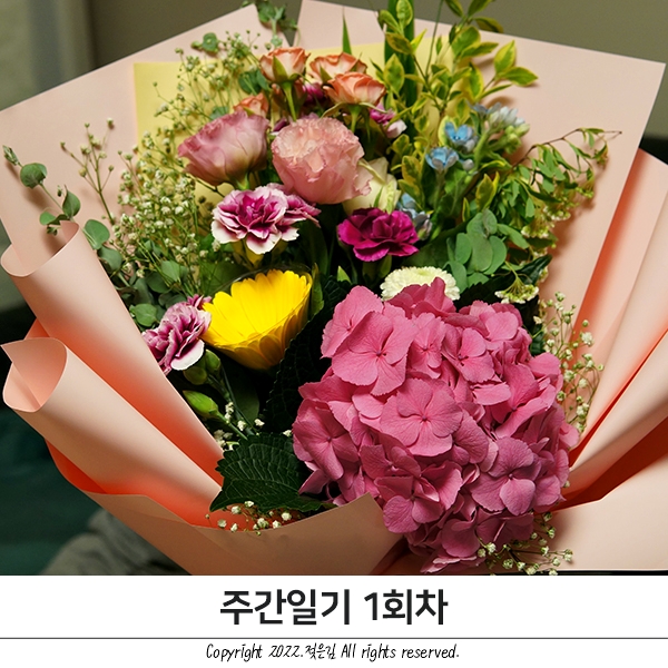 주간일기 1회차 : 갓생이라는 단어 좋아 주간일기 1회차 : 갓생이라는 단어 좋아
