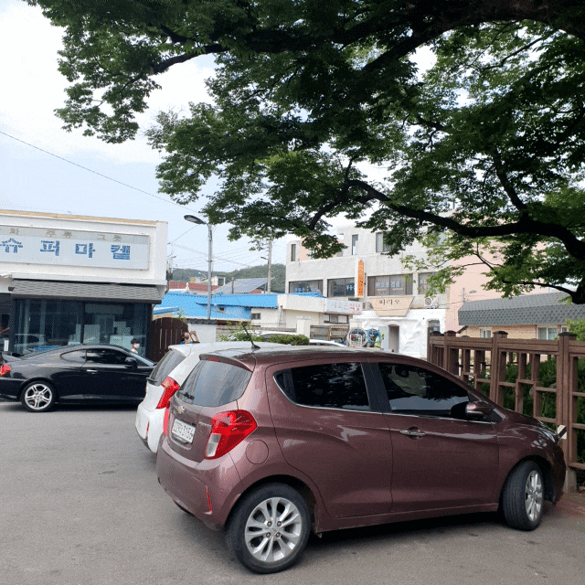  삼척 근덕면 카페]"커피에반하다"에서 1리터 아이스아메리카노 포장 하고 교가리 느티나무 보기