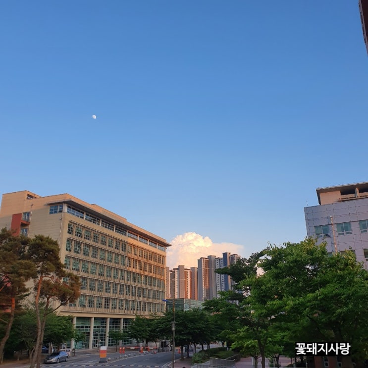  6/6-12 주간 일기 챌린지