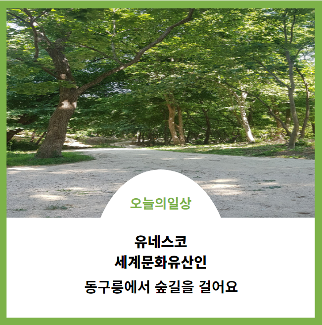  동구릉숲길산책