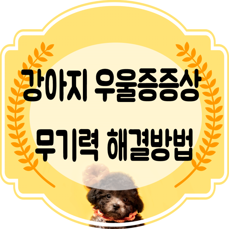 강아지우울증증상 강아지무기력 해결방법~( 강아지노즈워크 )