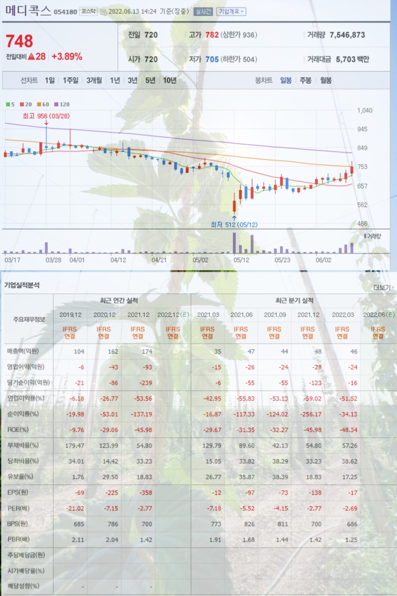 마리화나 관련주 마이더스AI 아이큐어 우리바이오 메디콕스 노터스 주가 주목 : 네이버 블로그